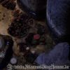 100_1029