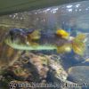 Bild082