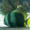 Bild084