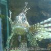 Bild085