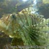 Bild086