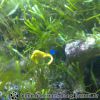 Bild089