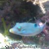 Bild090