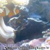 Bild091