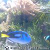 Bild095