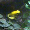 Bild097