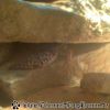 Bild098