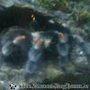 Bild104