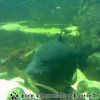 Bild106