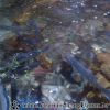 Bild123