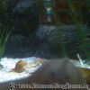 Bild124