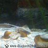 Bild127