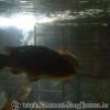 Bild131