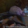 Bild181