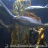 Bild187