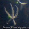 Bild188