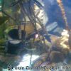 Bild192