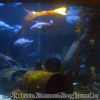 Bild194