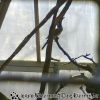 DSC00965