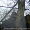 DSC01080