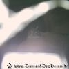 IMAG0028