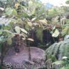 IMAG0039