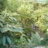 IMAG0041