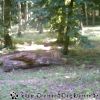 IMAG0062