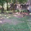 IMAG0092