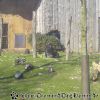 DSC01625