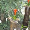 PICT0611