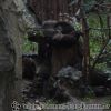PICT0635