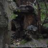 PICT0636