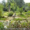 PICT0714