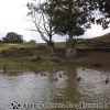 PICT0746