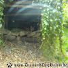 PICT0775