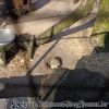 DSC00001