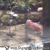 DSC00005