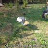 DSC00018
