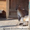 DSC00021