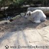 DSC00040
