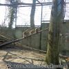 DSC00049