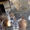 DSC00056