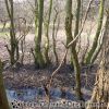 DSC00060