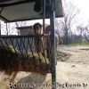 DSC00067