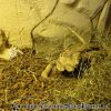 DSC00082