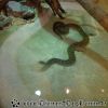 DSC00085