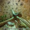 DSC00086