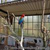 DSC00092