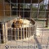 DSC00096